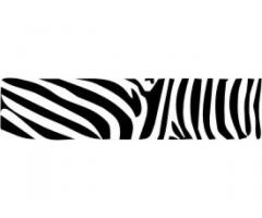 Zebra- 12 db