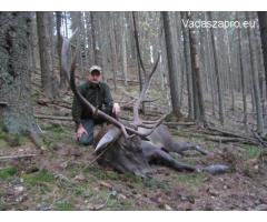 kárpáti szarvasbika vadászata Romániában