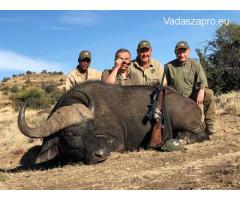 Dél-Afrikai vadászat