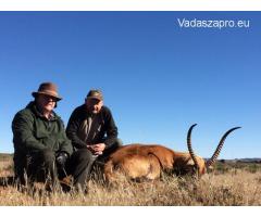 Dél-Afrikai vadászat