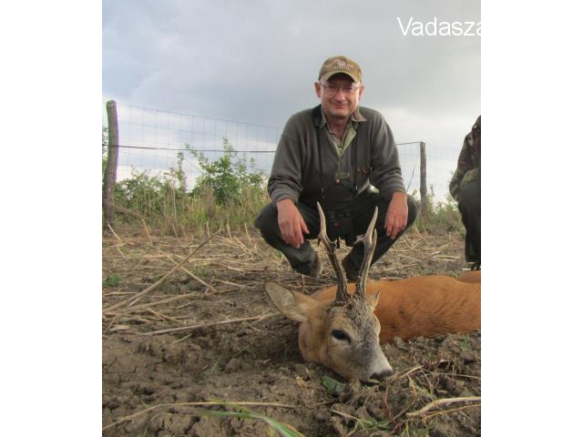 Őzbakvadászat május 1-től , Erdély ,Bánát ,  Bukovina