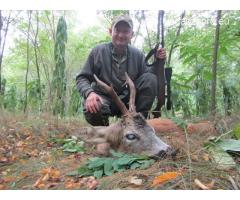 Őzbakvadászat május 1-től , Erdély ,Bánát ,  Bukovina